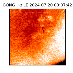 gong - 2024-07-20T03:07:42