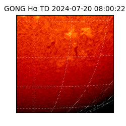 gong - 2024-07-20T08:00:22