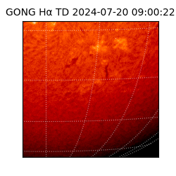 gong - 2024-07-20T09:00:22