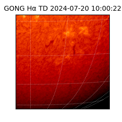 gong - 2024-07-20T10:00:22