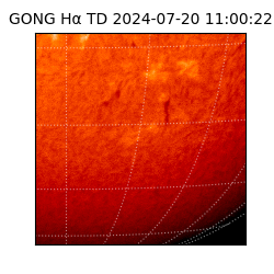 gong - 2024-07-20T11:00:22