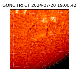 gong - 2024-07-20T19:00:42