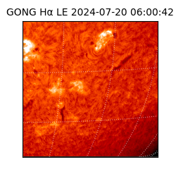 gong - 2024-07-20T06:00:42