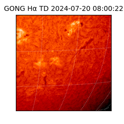 gong - 2024-07-20T08:00:22