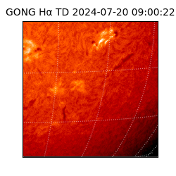 gong - 2024-07-20T09:00:22