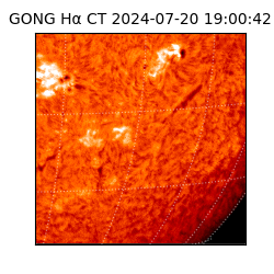 gong - 2024-07-20T19:00:42