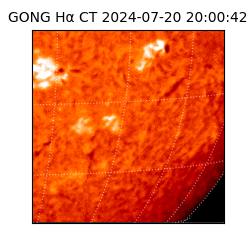 gong - 2024-07-20T20:00:42