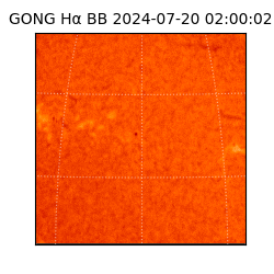 gong - 2024-07-20T02:00:02