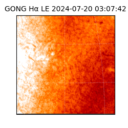 gong - 2024-07-20T03:07:42