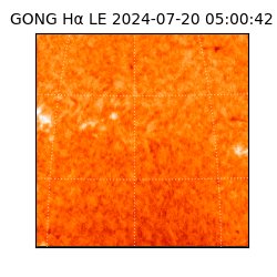 gong - 2024-07-20T05:00:42