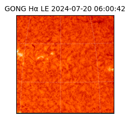 gong - 2024-07-20T06:00:42