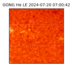 gong - 2024-07-20T07:00:42