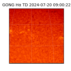 gong - 2024-07-20T09:00:22