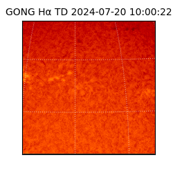 gong - 2024-07-20T10:00:22