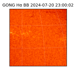 gong - 2024-07-20T23:00:02