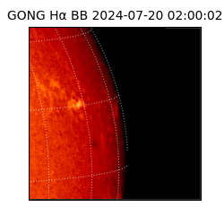 gong - 2024-07-20T02:00:02