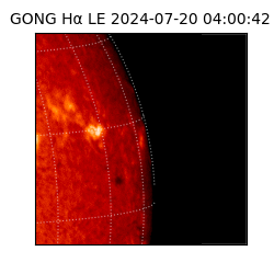 gong - 2024-07-20T04:00:42