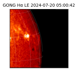 gong - 2024-07-20T05:00:42