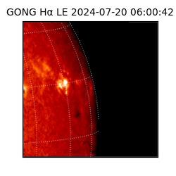 gong - 2024-07-20T06:00:42