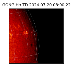 gong - 2024-07-20T08:00:22