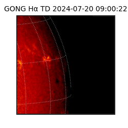 gong - 2024-07-20T09:00:22