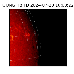 gong - 2024-07-20T10:00:22