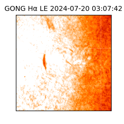 gong - 2024-07-20T03:07:42