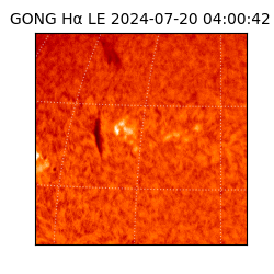 gong - 2024-07-20T04:00:42