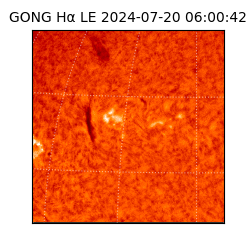 gong - 2024-07-20T06:00:42