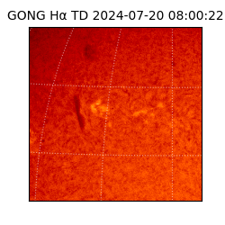 gong - 2024-07-20T08:00:22