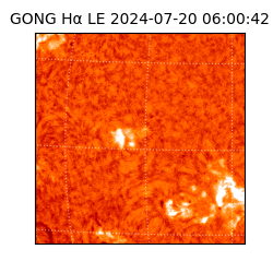 gong - 2024-07-20T06:00:42