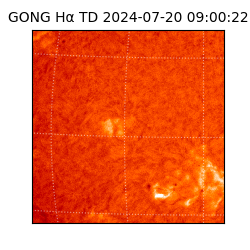 gong - 2024-07-20T09:00:22