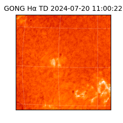 gong - 2024-07-20T11:00:22