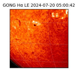 gong - 2024-07-20T05:00:42