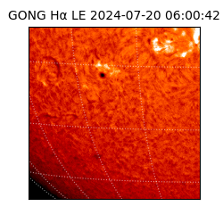 gong - 2024-07-20T06:00:42