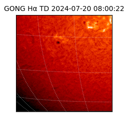 gong - 2024-07-20T08:00:22