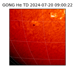 gong - 2024-07-20T09:00:22