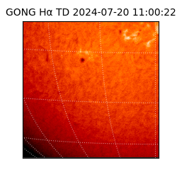 gong - 2024-07-20T11:00:22