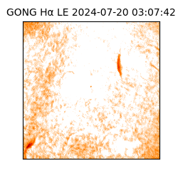 gong - 2024-07-20T03:07:42