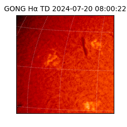 gong - 2024-07-20T08:00:22