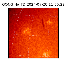 gong - 2024-07-20T11:00:22