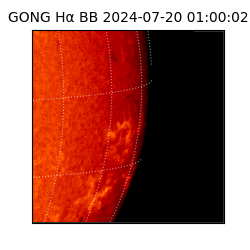 gong - 2024-07-20T01:00:02