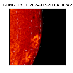 gong - 2024-07-20T04:00:42