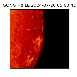 gong - 2024-07-20T05:00:42