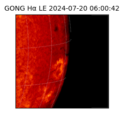 gong - 2024-07-20T06:00:42