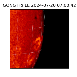 gong - 2024-07-20T07:00:42