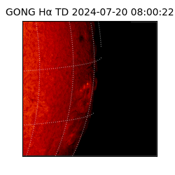 gong - 2024-07-20T08:00:22