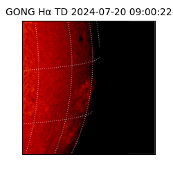 gong - 2024-07-20T09:00:22