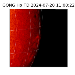 gong - 2024-07-20T11:00:22