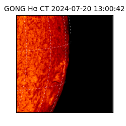 gong - 2024-07-20T13:00:42